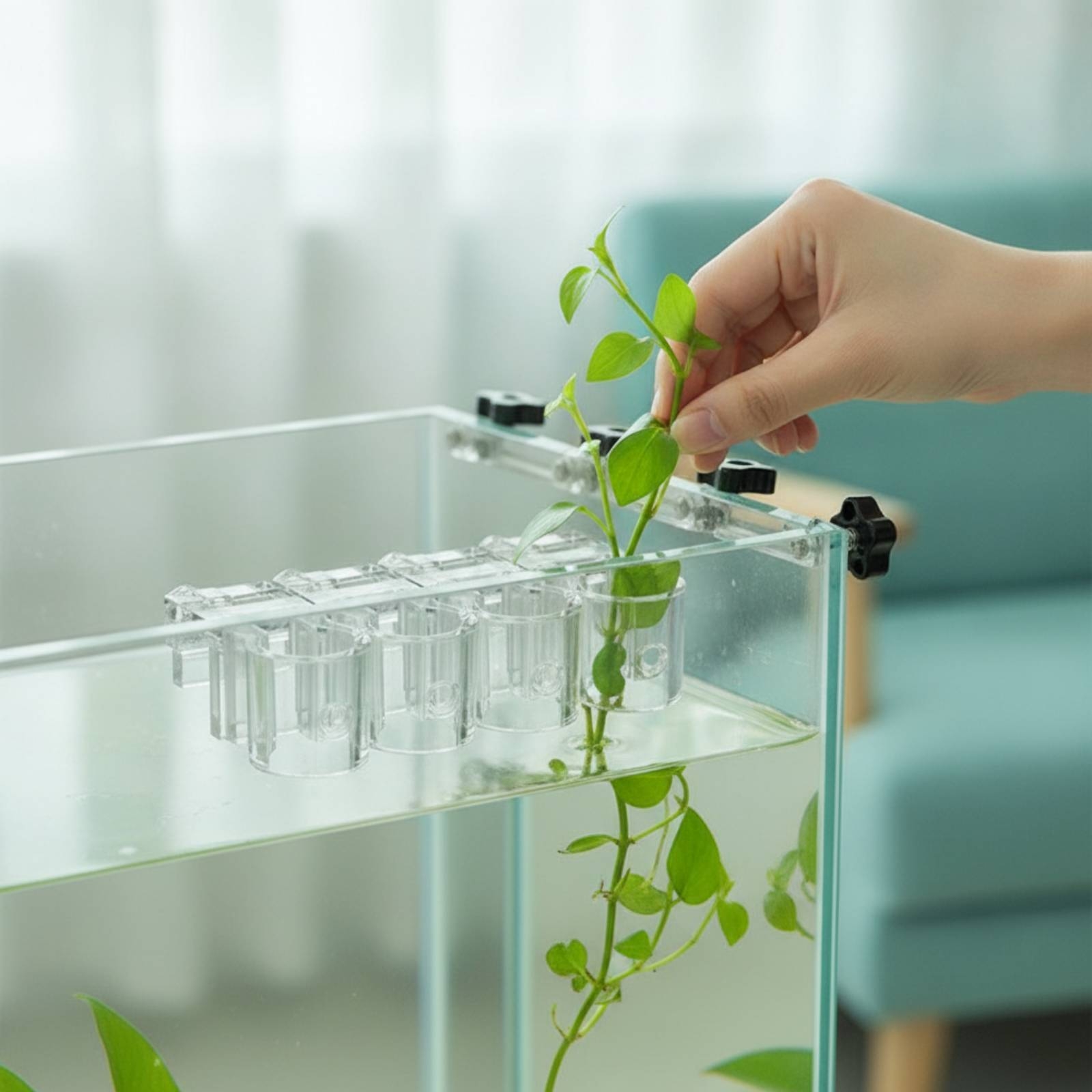 Aquarium Plants - คลิปหนีบกระถางปลูกพืชน้ำแบบใส 6 ชิ้น พร้อมสกรู สำหรับคนเลี้ยงปลาและตู้ปลา