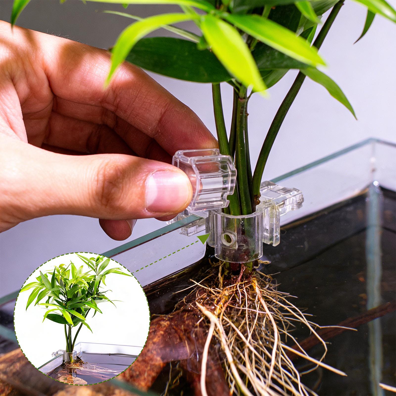 Aquarium Planted Soil - ที่แขวนต้นไม้ในตู้ปลา 6 ชิ้น ถ้วยปลูกพืชแบบไฮโดรโปนิกส์ใส ถ้วยปลูกต้นไม้ในตู้ปลาแบบแขวนได้ สำหรับปลูกพืชในบ้าน