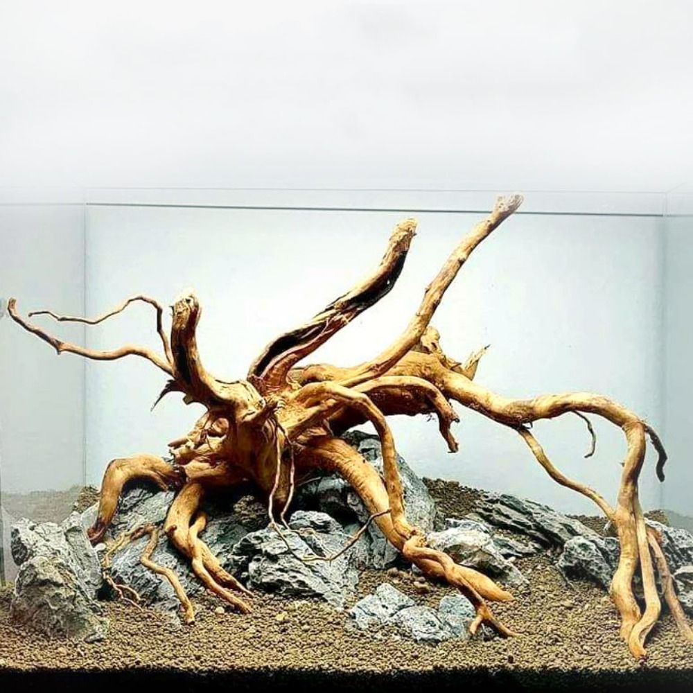 Aquarium Planted Tree - ลำต้นของต้นไม้ธรรมชาติตกแต่งงานไม้ตกแต่งงานศิลปะที่ทำจากไม้กิ่งไม้กิ่งไม้อุปกรณ์ตกแต่งตู้ปลา