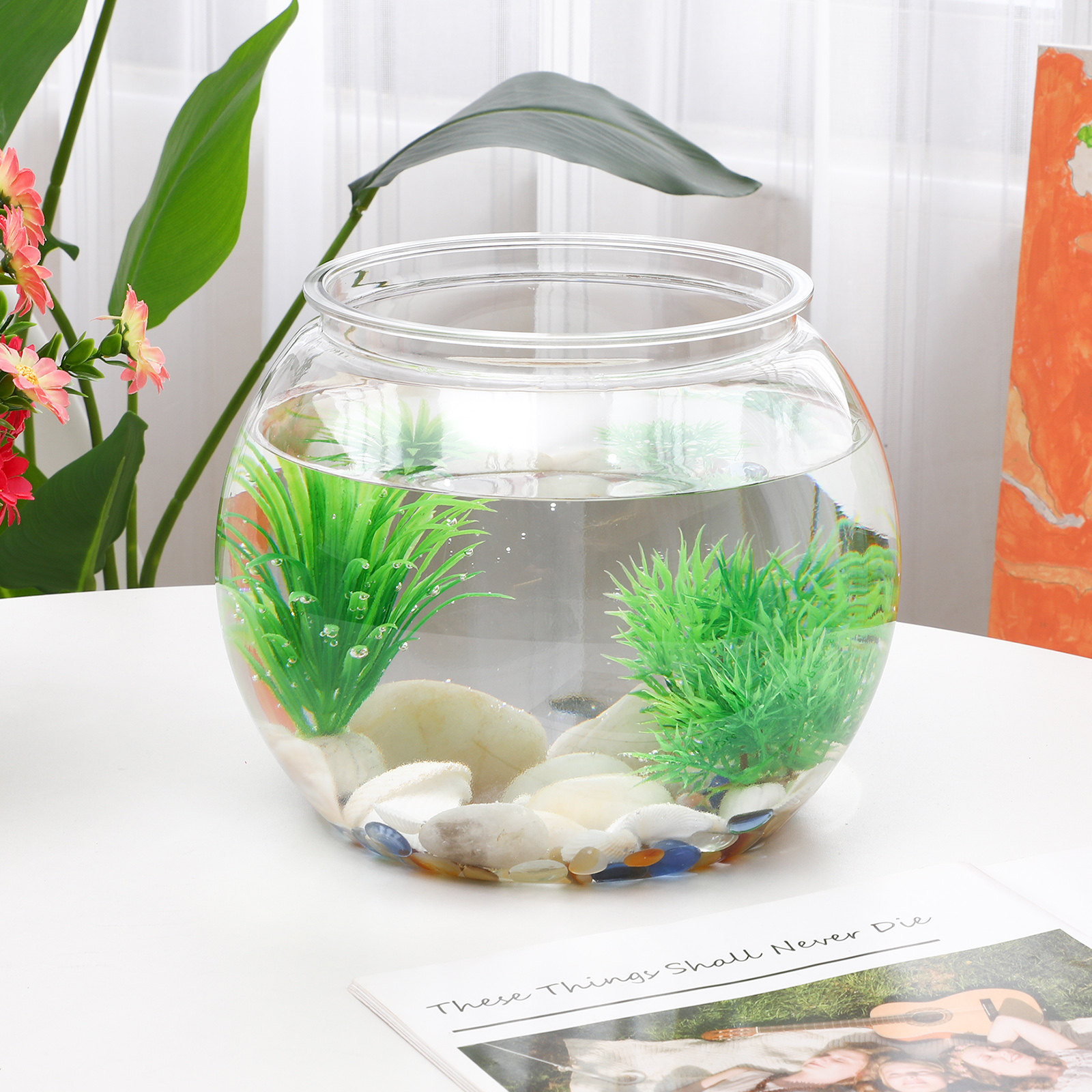 ตู้ปลาพลาสติกกันตกทรงกลมขนาดเล - Planted Aquarium For Goldfish บทวิจารณ์และราคา