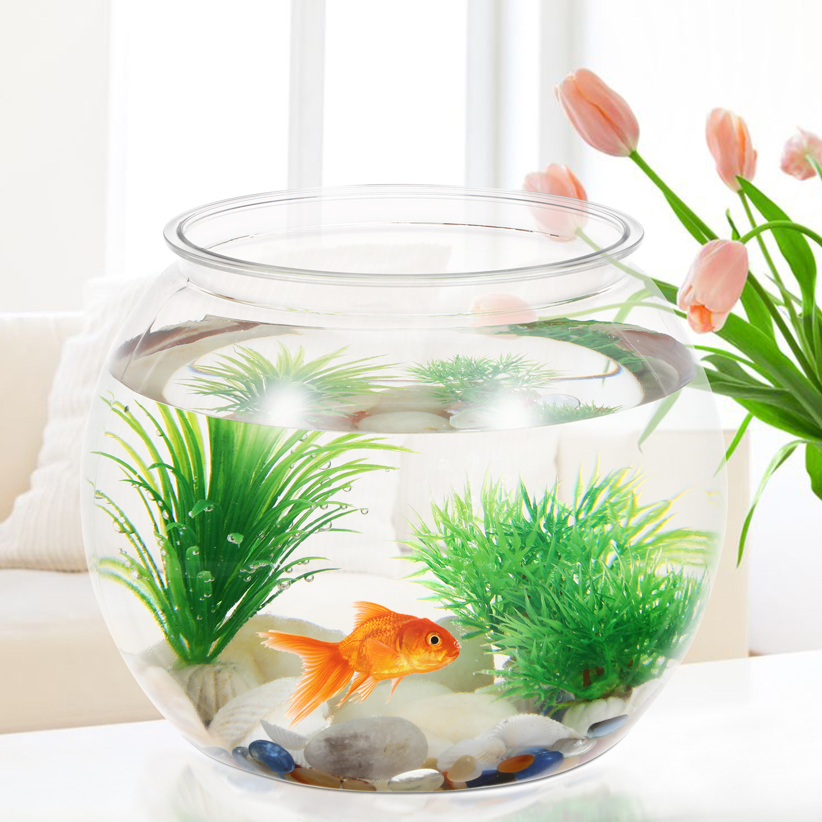 ตู้ปลาพลาสติกกันตกทรงกลมขนาดเล - Planted Aquarium For Goldfish บทวิจารณ์และราคา