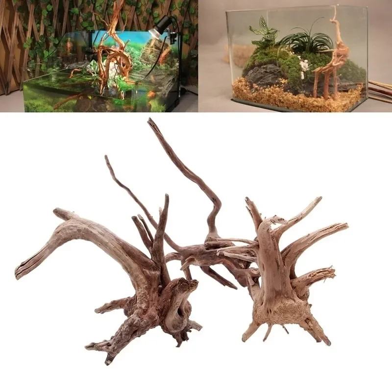 ต้นไม้ธรรมชาติลำต้นไม้ดริฟท์วู - Aquarium Planted Soil บทวิจารณ์และราคา
