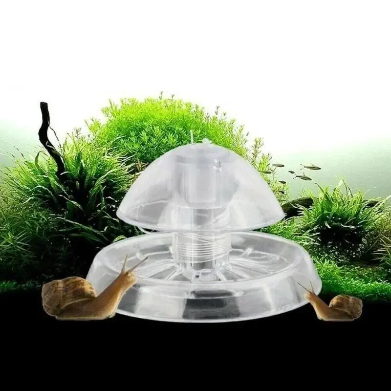 กับดักหอยทากพลาสติกใสขนาด 6/8  - Aquarium Planted Fish Tank บทวิจารณ์และราคา