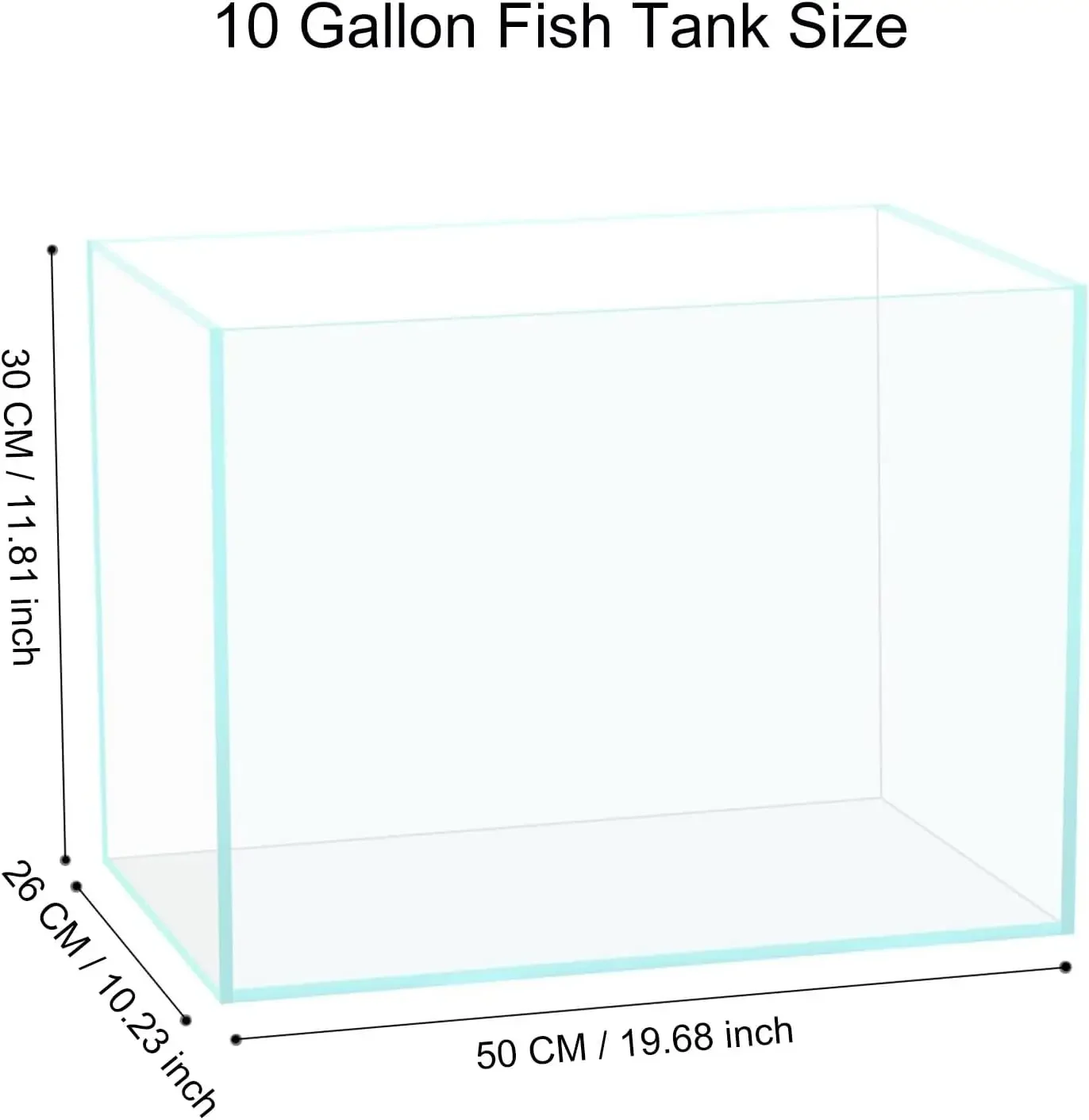 ตู้ปลาแก้วขนาด 10 แกลลอน ดูแลง - Planted Aquarium For Goldfish บทวิจารณ์และราคา