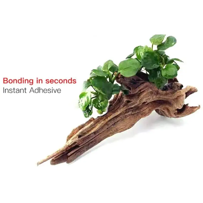 กาวใสสำหรับติดมอสส์และปะการัง  - Planted Aquarium With Fish บทวิจารณ์และราคา