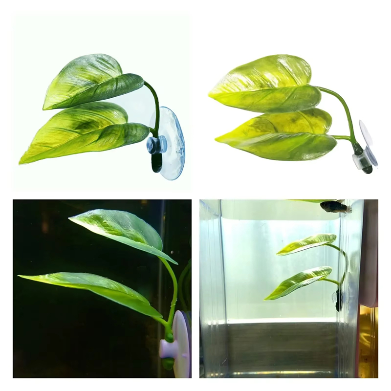 อุปกรณ์ตกแต่งตู้ปลา พืชน้ำเทีย - Aquarium Planted Fish Tank บทวิจารณ์และราคา