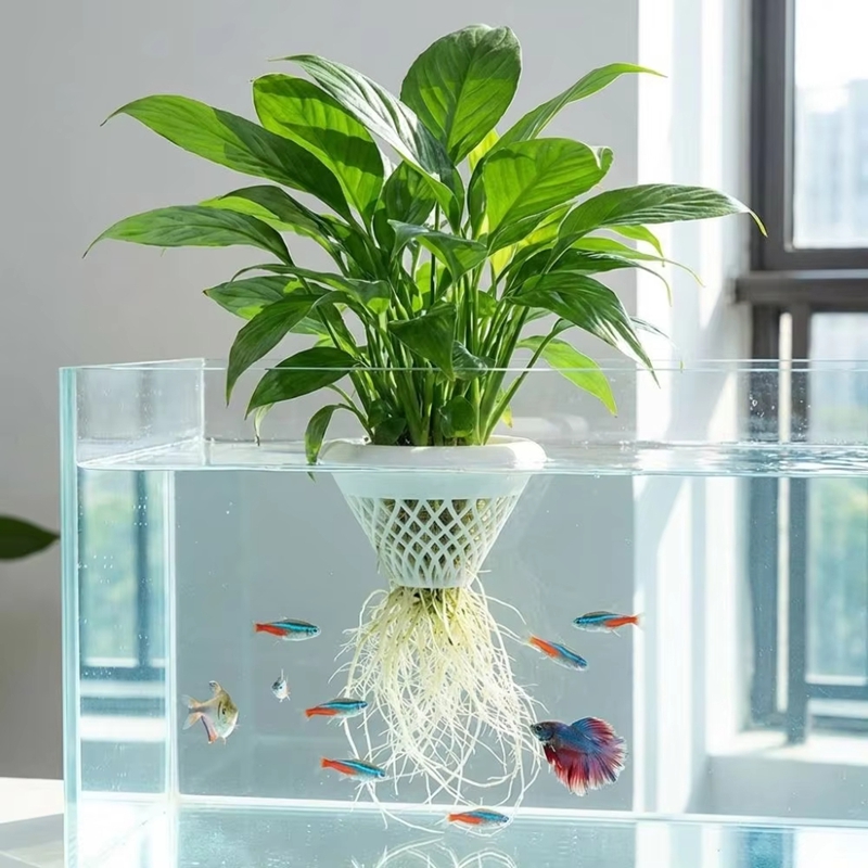 กระถางปลูกพืชน้ำแบบลอยได้, ที่ - Planted Aquarium Jar บทวิจารณ์และราคา
