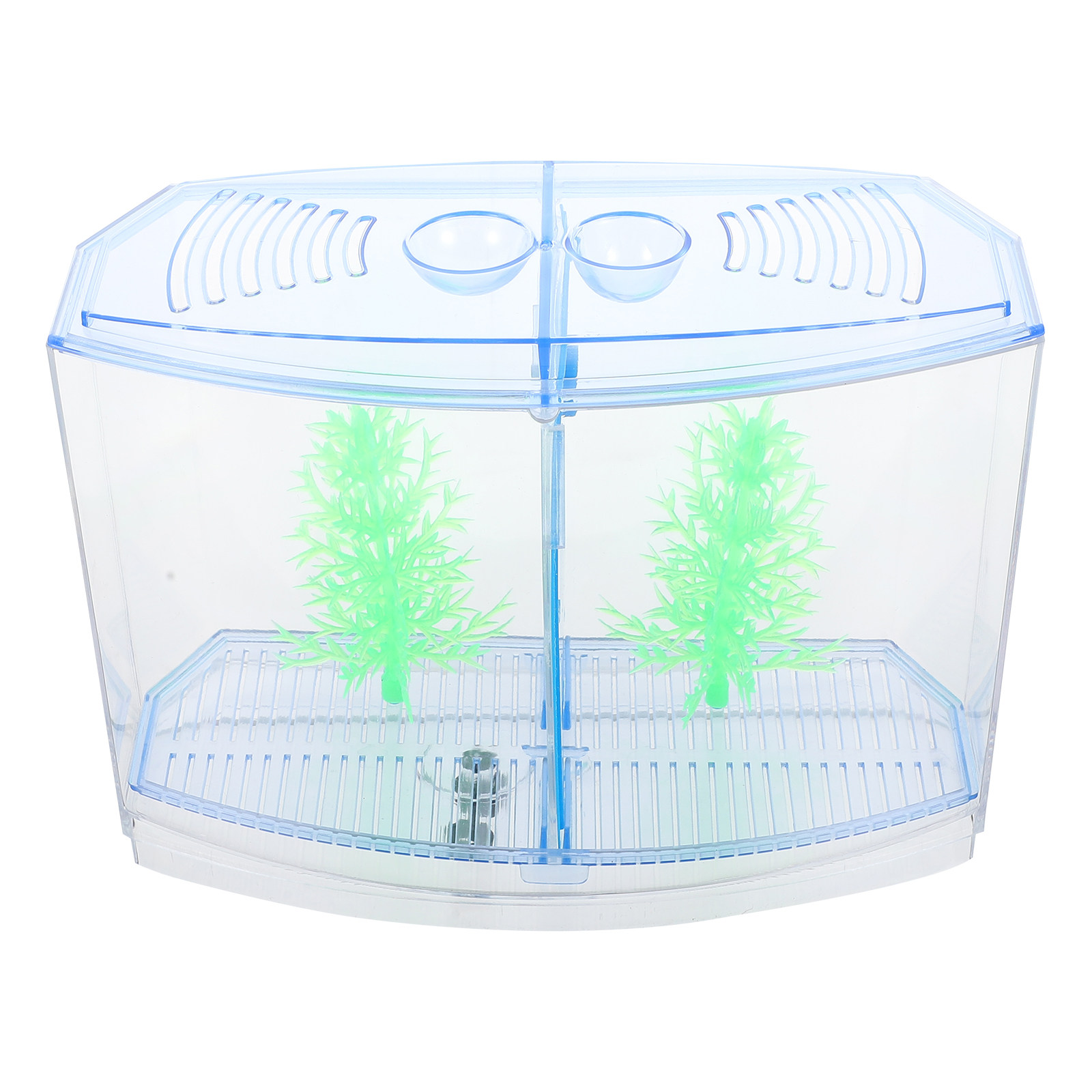1 ชุดตู้ปลาอะคริลิกใสแบบหรูหรา - Planted Aquarium For Goldfish บทวิจารณ์และราคา