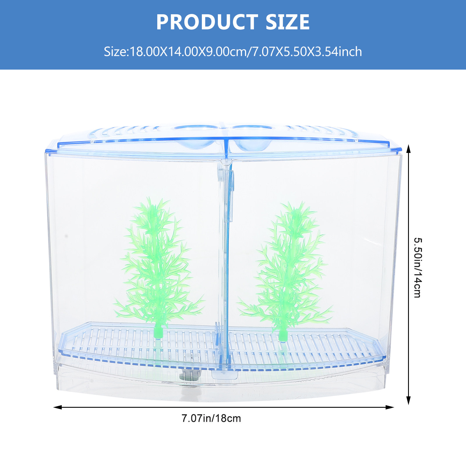 1 ชุดตู้ปลาอะคริลิกใสแบบหรูหรา - Planted Aquarium For Goldfish บทวิจารณ์และราคา