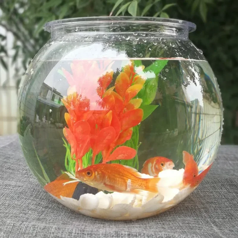 ตู้ปลาทองตั้งโต๊ะ ตู้ปลาพลาสติ - Planted Aquarium For Goldfish บทวิจารณ์และราคา