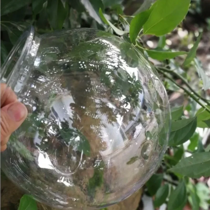 ตู้ปลาทองตั้งโต๊ะ ตู้ปลาพลาสติ - Planted Aquarium For Goldfish บทวิจารณ์และราคา