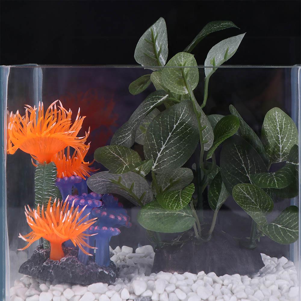 ต้นไม้ประดิษฐ์ ต้นไทร ต้นฟิกัส - Planted Aquarium Jar บทวิจารณ์และราคา