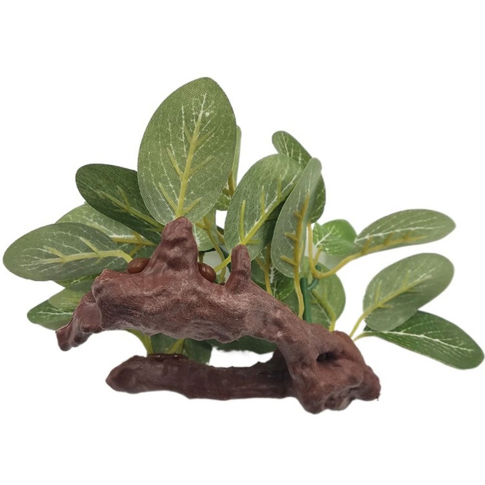 ต้นไม้ประดิษฐ์ ต้นไทร ต้นฟิกัส - Planted Aquarium Jar บทวิจารณ์และราคา