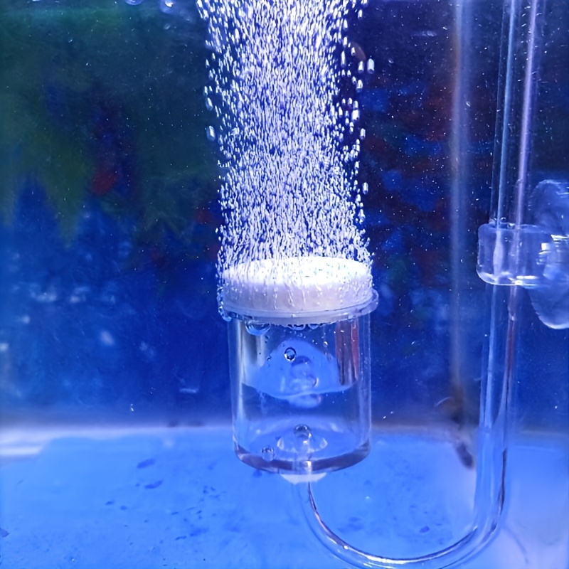 Aquarium Glass CO2 Atomizer Di - Aquarium Plant No Co2 บทวิจารณ์และราคา