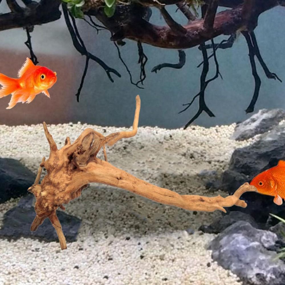 ลำต้นของต้นไม้ธรรมชาติตกแต่งงา - Aquarium Planted Tree บทวิจารณ์และราคา