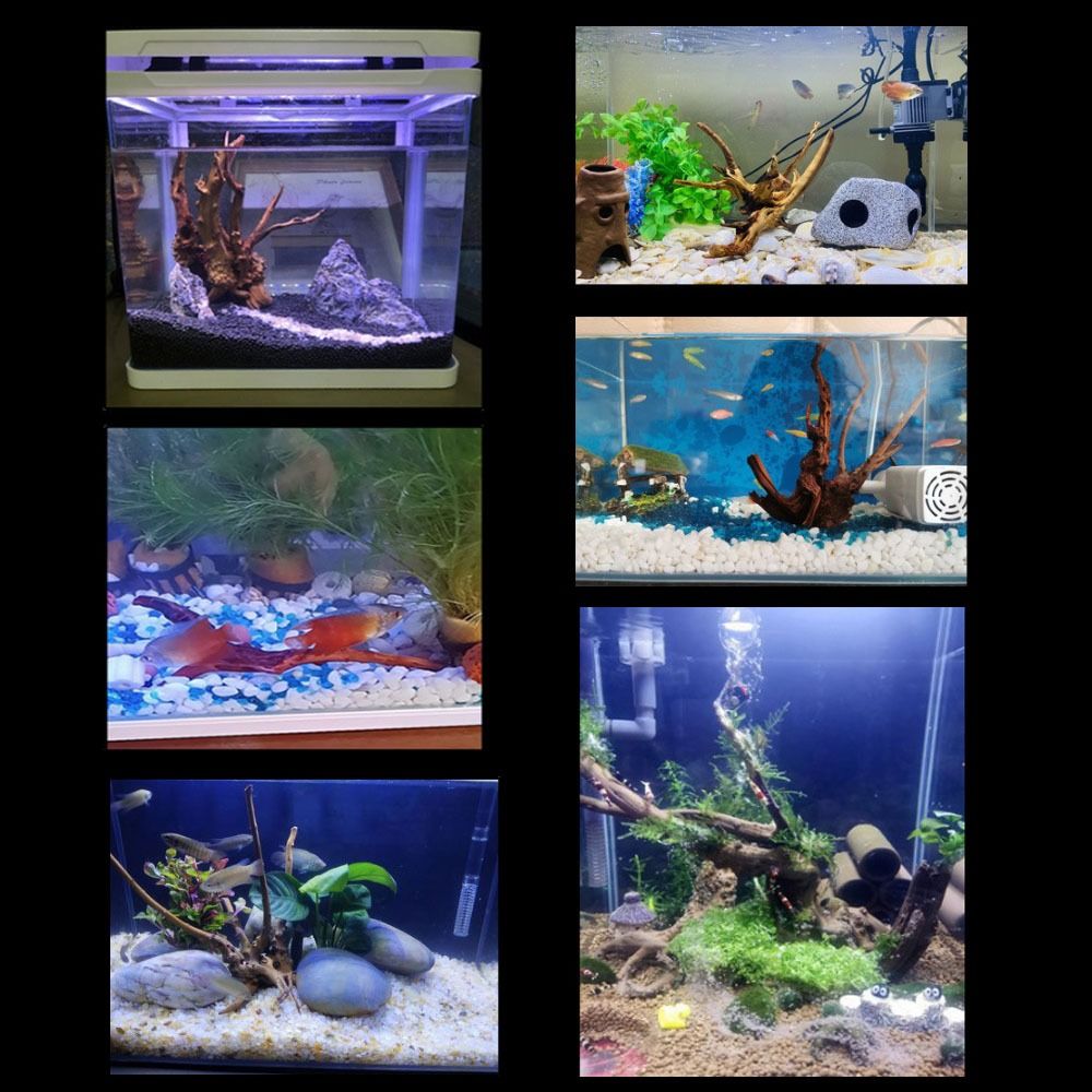 ลำต้นของต้นไม้ธรรมชาติตกแต่งงา - Aquarium Planted Tree บทวิจารณ์และราคา