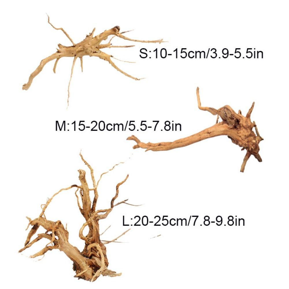 ลำต้นของต้นไม้ธรรมชาติตกแต่งงา - Aquarium Planted Tree บทวิจารณ์และราคา