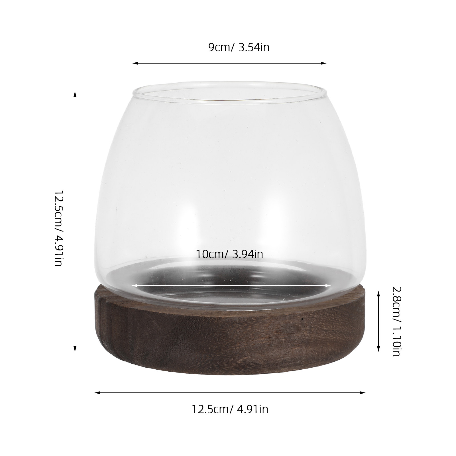 โหลแก้วทรงกลมสำหรับปลูกพืชแบบไ - Planted Aquarium Jar บทวิจารณ์และราคา