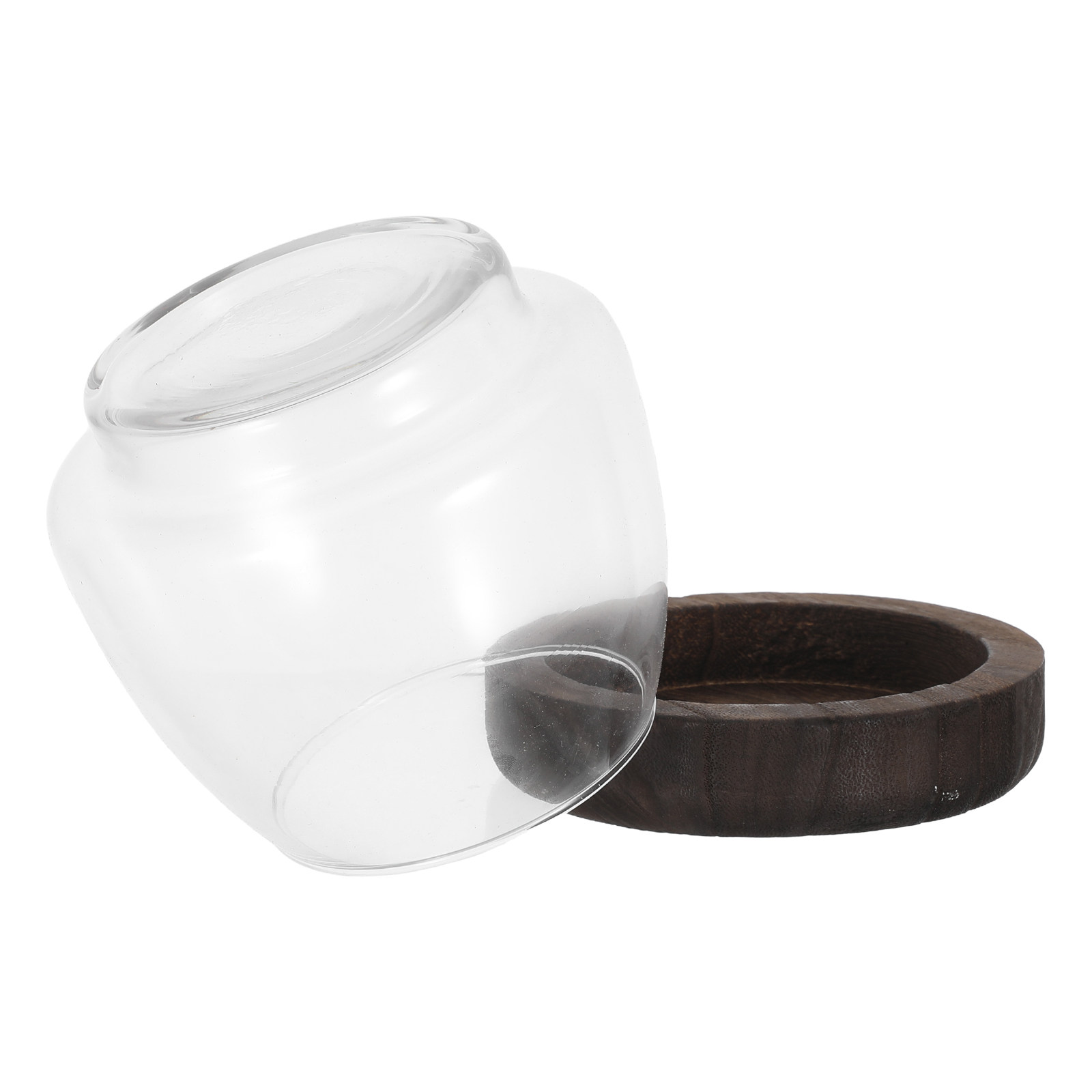 โหลแก้วทรงกลมสำหรับปลูกพืชแบบไ - Planted Aquarium Jar บทวิจารณ์และราคา