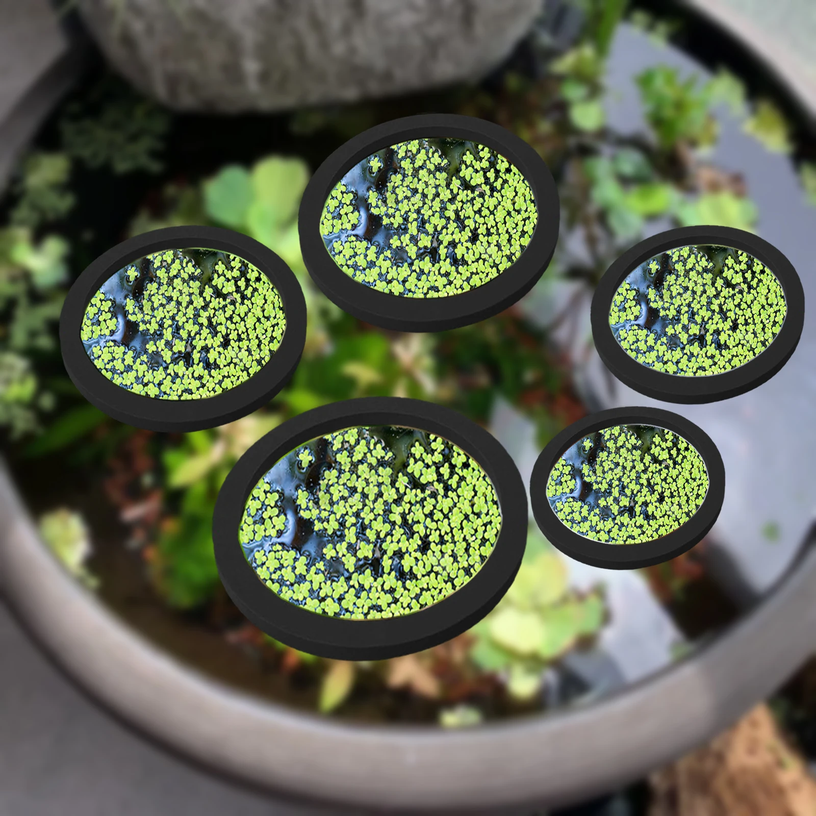 5 ชิ้น EVA ปลา Feeding แหวน Aq - Aquarium Plants บทวิจารณ์และราคา