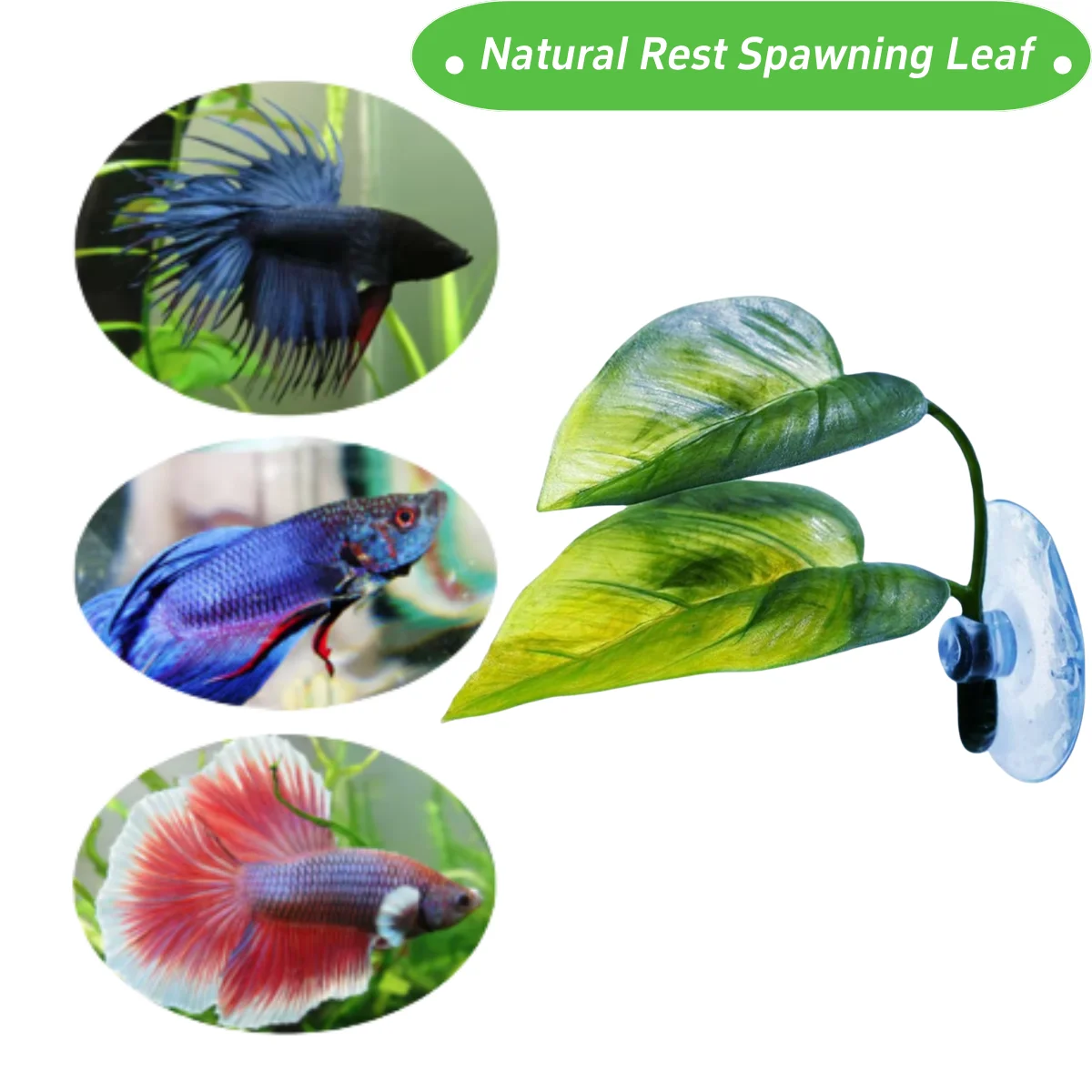 ของตกแต่งตู้ปลาสำหรับสัตว์เลี้ - Aquarium Planted Tree บทวิจารณ์และราคา
