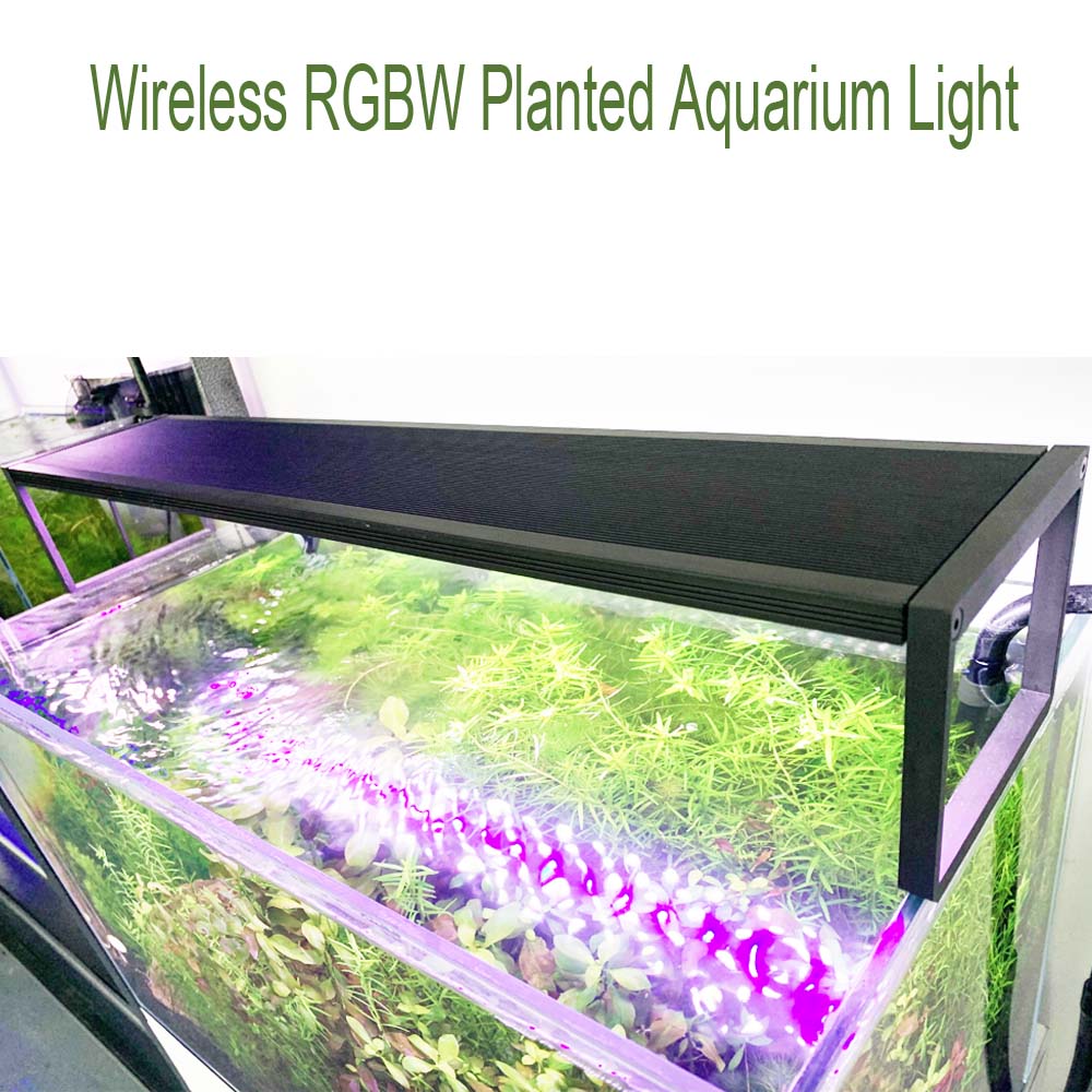 ไฟ LED สำหรับตู้ปลาแบบปลูกต้นไ - Aquarium Plant Grass บทวิจารณ์และราคา