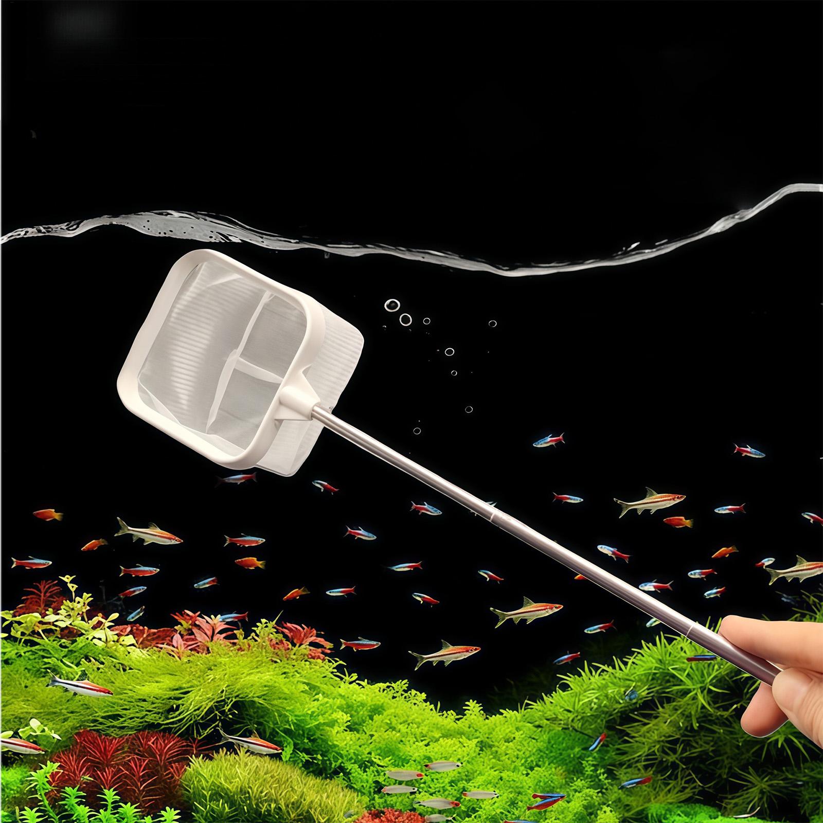 ที่ตักเศษใบไม้ในตู้ปลา/บ่อ/สระ - Aquarium Planted Tree บทวิจารณ์และราคา