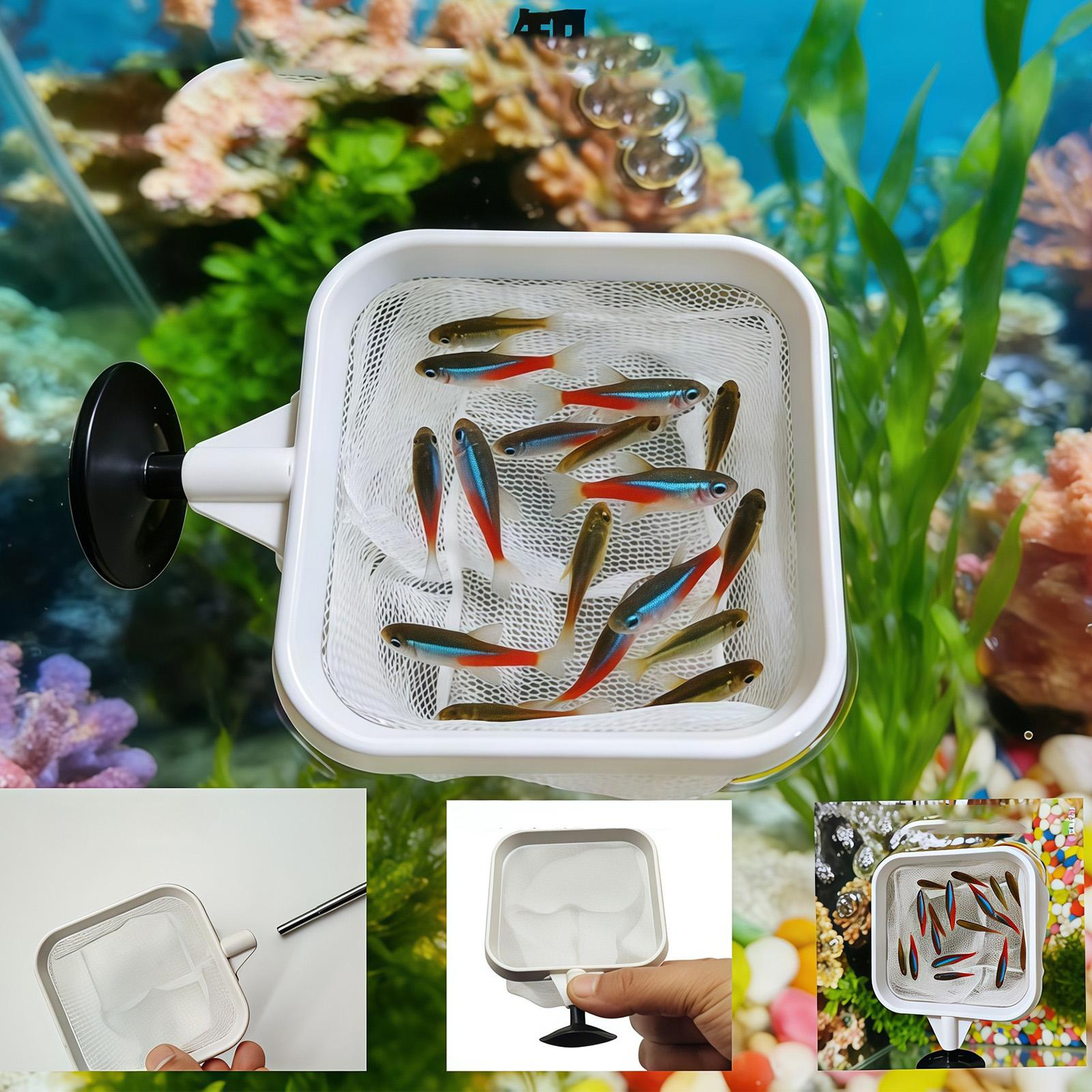 ที่ตักเศษใบไม้ในตู้ปลา/บ่อ/สระ - Aquarium Planted Tree บทวิจารณ์และราคา