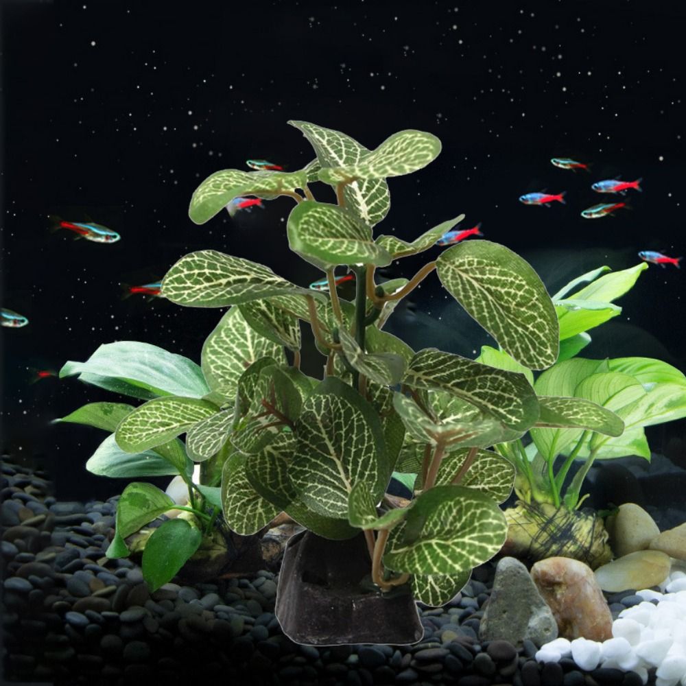 ตกแต่งผ้าไหมที่สมจริงใต้น้ําสํ - Planted Aquarium Jar บทวิจารณ์และราคา