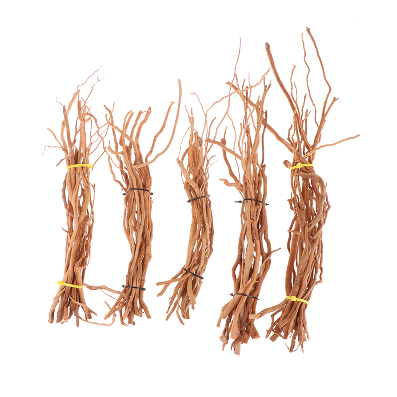 ต้นไม้ธรรมชาติสำหรับตู้ปลาภูมิ - Aquarium Planted Soil บทวิจารณ์และราคา