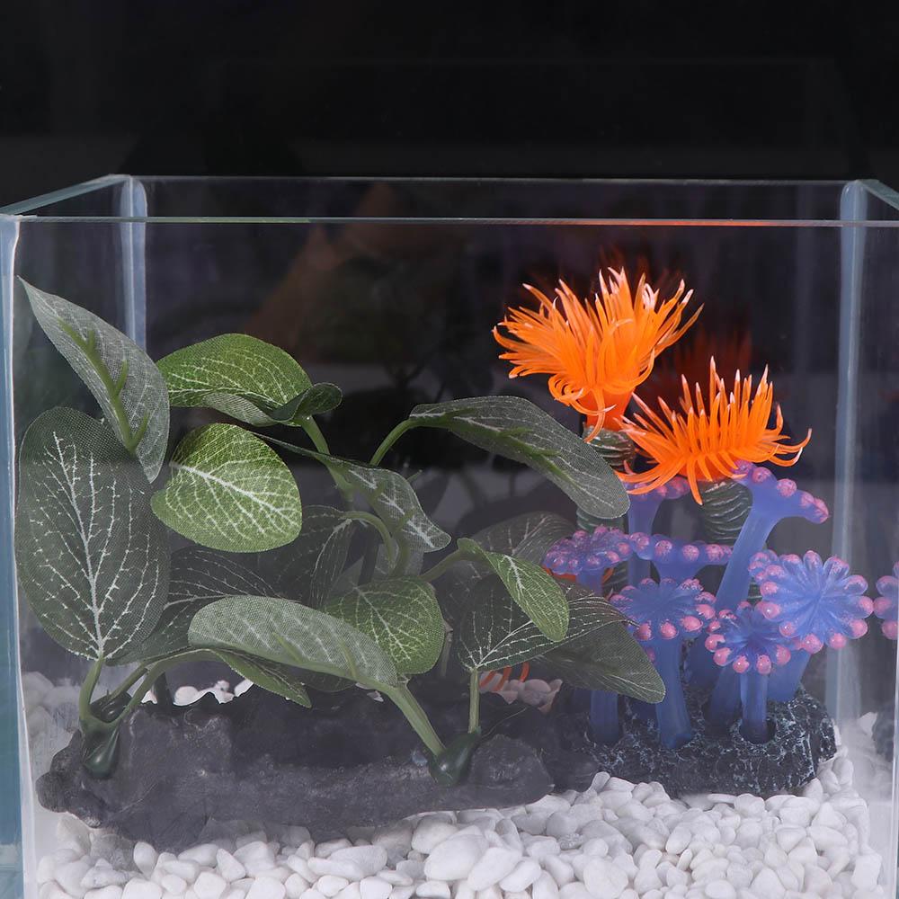 ผ้าไหมพลาสติกสีเขียวสําหรับตกแ - Planted Aquarium Jar บทวิจารณ์และราคา