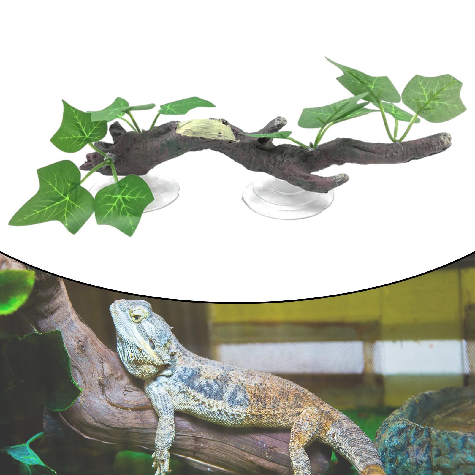 กิ่งไม้ตกแต่งสำหรับสัตว์เลื้อย - Aquarium Planted Tree บทวิจารณ์และราคา
