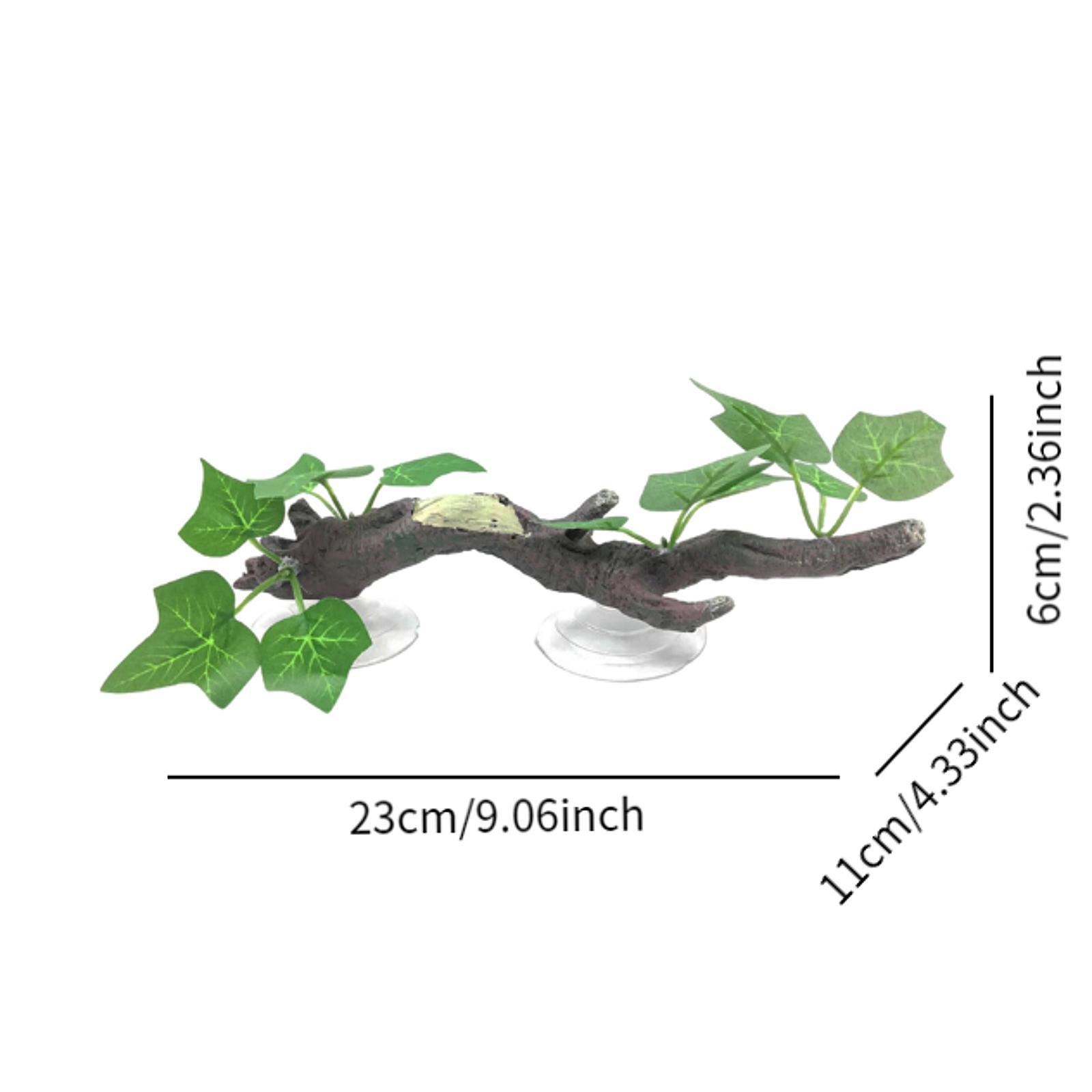 กิ่งไม้ตกแต่งสำหรับสัตว์เลื้อย - Aquarium Planted Tree บทวิจารณ์และราคา