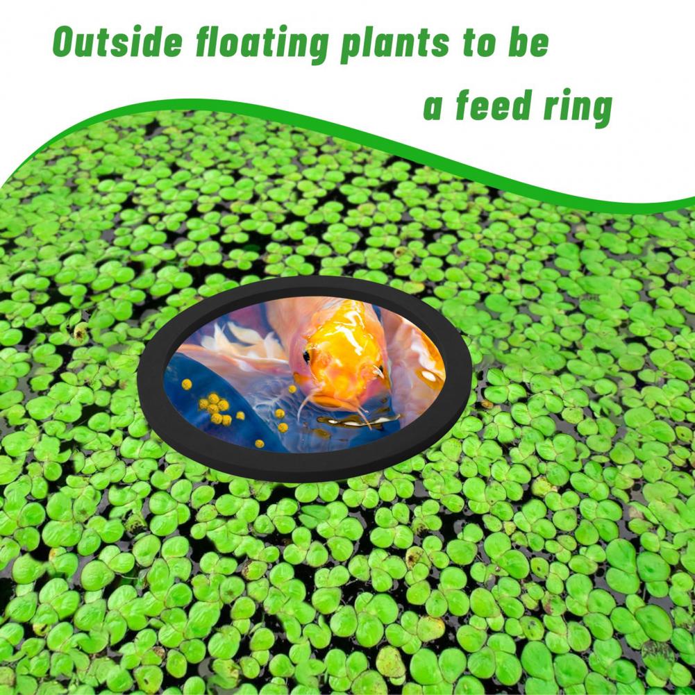 EVA โฟมลอยแหวนสําหรับถังปลา Aq - Planted Aquarium For Goldfish บทวิจารณ์และราคา