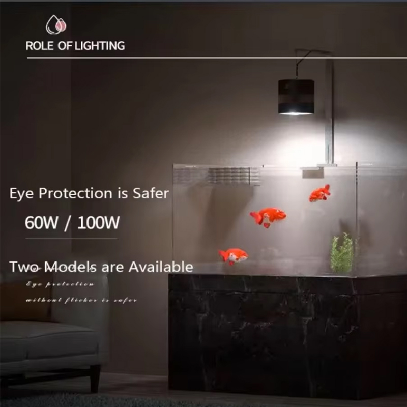 พิพิธภัณฑ์สัตว์น้ําเต็มสเปกตรั - Planted Aquarium For Goldfish บทวิจารณ์และราคา