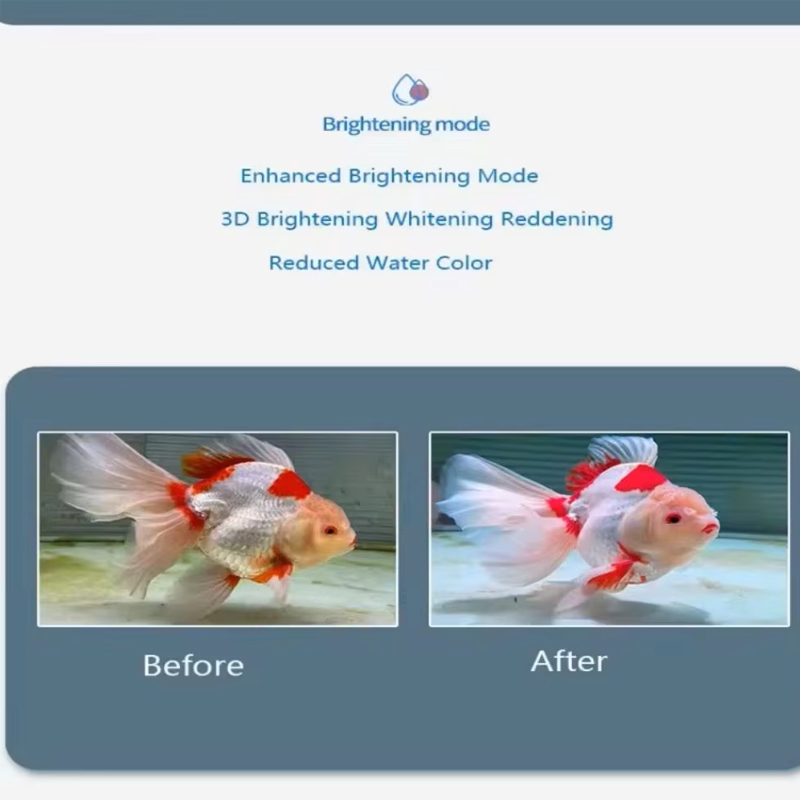 พิพิธภัณฑ์สัตว์น้ําเต็มสเปกตรั - Planted Aquarium For Goldfish บทวิจารณ์และราคา