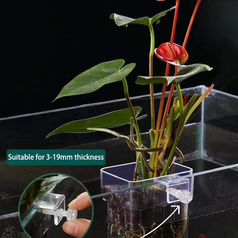 ถ้วยปลูกหญ้าน้ำพิพิธภัณฑ์สัตว์ - Aquarium Planted Fish Tank บทวิจารณ์และราคา