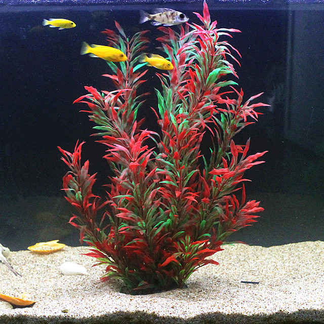 50 ซม.ถังปลาประดิษฐ์พืชหายากAq - Aquarium Planted Fish Tank บทวิจารณ์และราคา