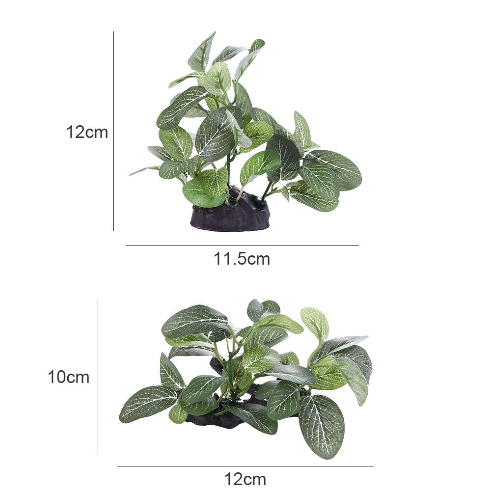 พืชประดิษฐ์พลาสติกเนื้อสัมผัสเ - Planted Aquarium Jar บทวิจารณ์และราคา