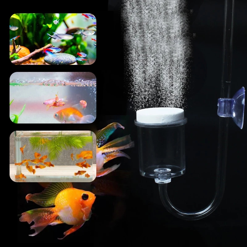 DIY ชุดกระจาย CO2 4ชิ้นสำหรับต - Aquarium Plant No Co2 บทวิจารณ์และราคา